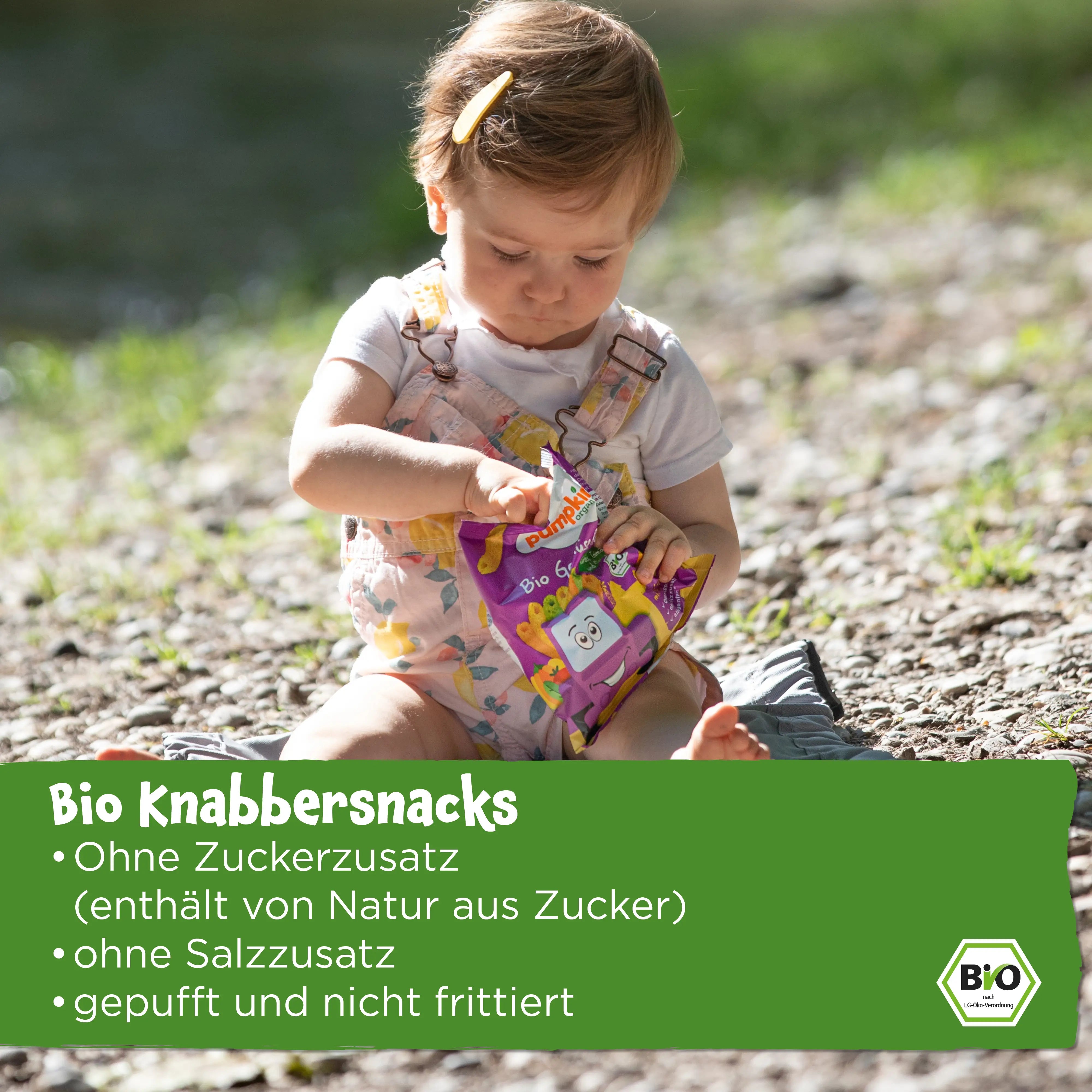 pumpkin-organics-bio-knabbersnacks-baby-snack-probierpaket-ohne-zuckerzusatz image 4