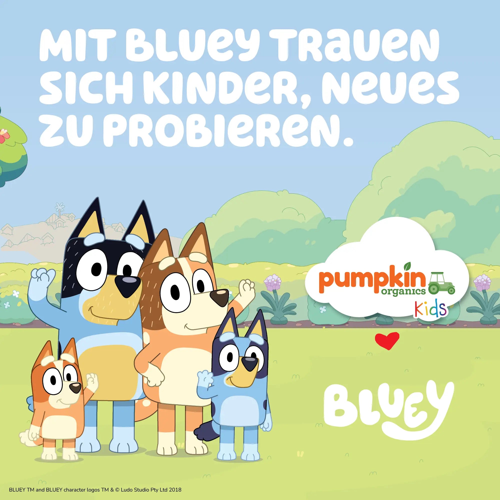 pumpkin-organics-bluey-bio-dinkel-pizzateig-backmischung-6er-pack image 3