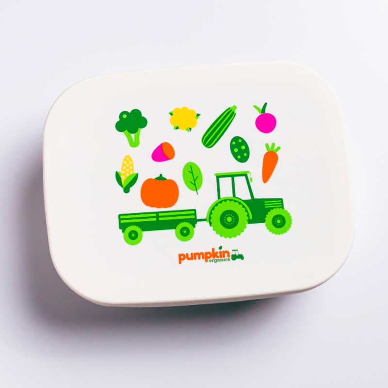 pumpkin-organics-brotdose-edelstahl-silikon-lunchbox-3-f-cher image 6